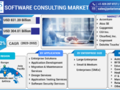 Software Consulting Market