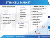 stem cell market