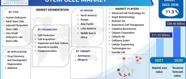 stem cell market