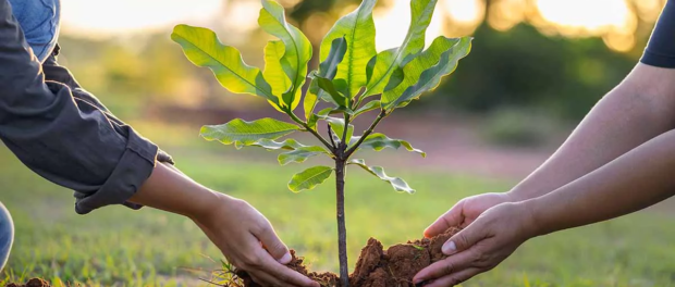 GLOBEX LOGISTICS (Brazil)