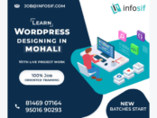 WordPress Training in Chandigarh