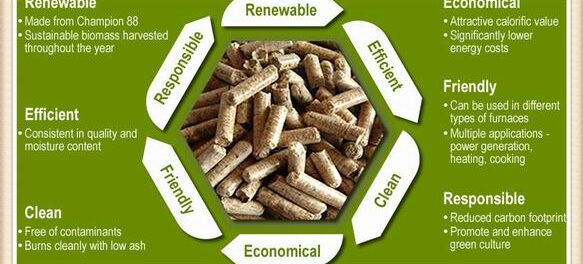 Europe Biomass Pellets Market