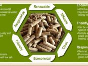 Biomass Pellets Market