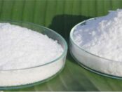 Lauric Acid Market