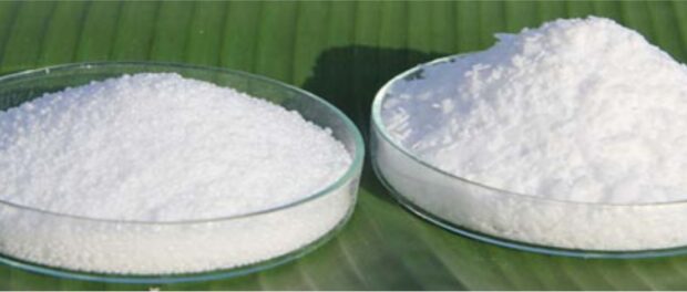 Lauric Acid Market