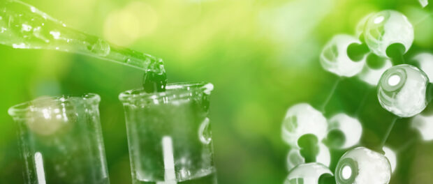 Green Ammonia Market