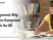 My Assignments Help Offers Best Assignment Writers In the UK