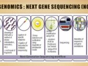 Next Generation Sequencers (NGS)