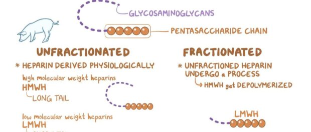 Unfractionated Heparin