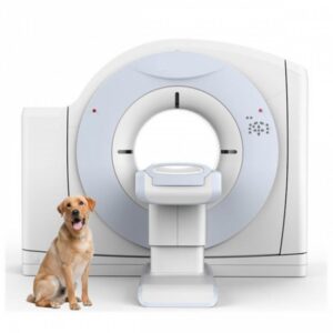 Veterinary Computed Tomography Scanners Market