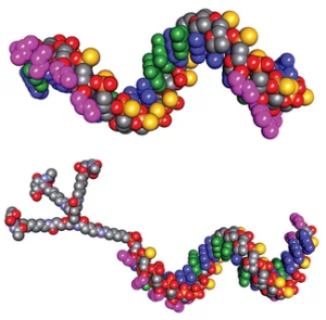 Antisense Oligonucleotides Market