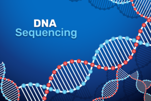 DNA Sequencing Services Market