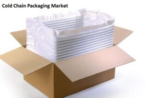 Global Cold Chain Packaging Market 