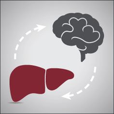 Hepatic Encephalopathy Treatment Market 