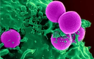 MRSA Treatment Market