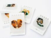 Multiple Organ System Tissue Microarrays