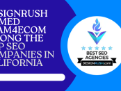 ecommerce SEO company