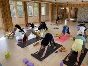 Yoga Teacher Training Course in Goa
