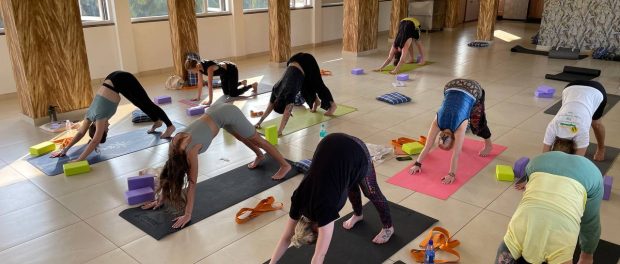 Yoga Teacher Training Course in Goa