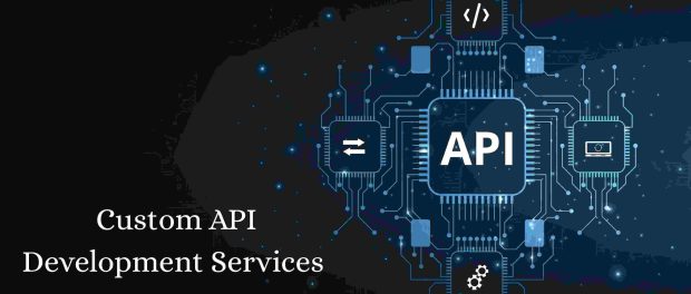 Custom API Development Services