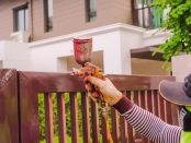 fence painting melbourne