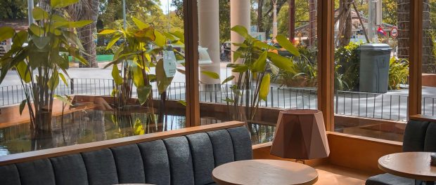 Starbucks Responds to Wellness Demand