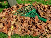 rubbish removal in Manchester