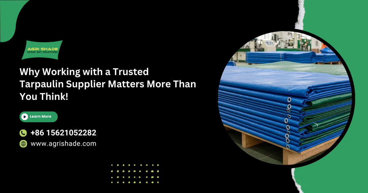 Tarpaulin Supplier