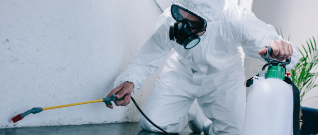 pest control services in bangalore