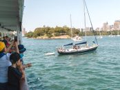 Guests on board an Australia Day Spectator Cruise on the Sydney Harbour, eagerly watching the Harbourfest events