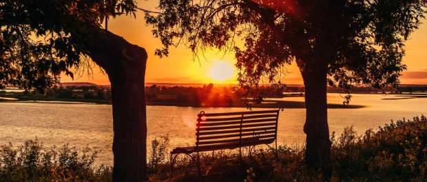 AAA Cremations Supports Diverse Cultural and Religious Traditions for Bonita Funeral Services!