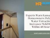 Experts Warn Kansas City Homeowners: Delayed Water Extraction Increases Mold Risk Within 48 Hours