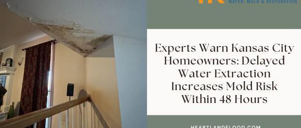 Experts Warn Kansas City Homeowners: Delayed Water Extraction Increases Mold Risk Within 48 Hours