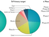 Nipah Virus Antigens and Antibodies