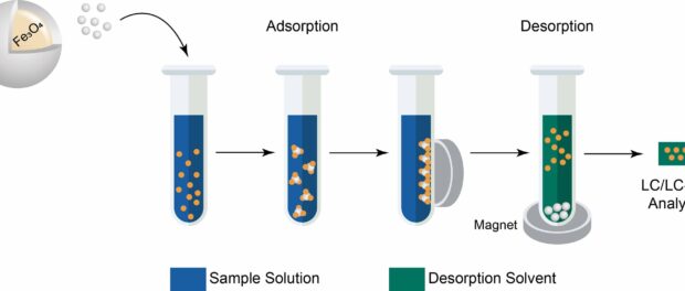Magnetic Solid-Phase Extraction Particles