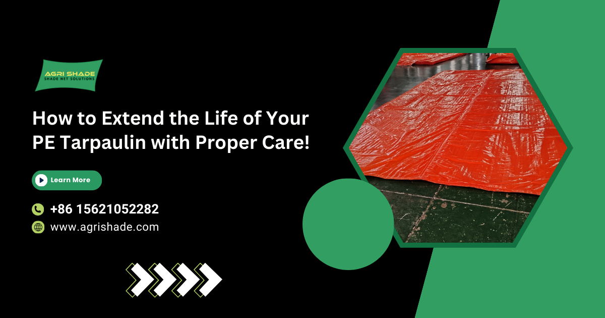 PE Tarpaulin