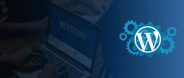 website development agency