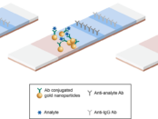 Colloidal Gold Lateral Flow Assays