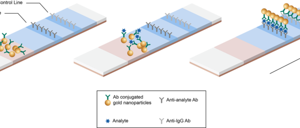 Colloidal Gold Lateral Flow Assays