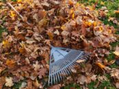 rubbish and junk clearance