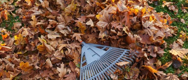 rubbish and junk clearance