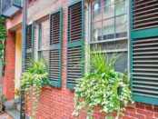 plantation shutters